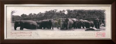 Elephant Journal by Malcom Sanders Pricing Limited Edition Print image