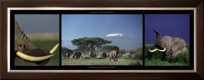 Elephants And Kilimanjaro by Michel & Christine Denis-Huot Pricing Limited Edition Print image