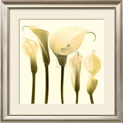 Lily Cluster by Katja Marzahn Pricing Limited Edition Print image