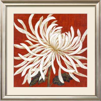 Spider Mum I by Judy Shelby Pricing Limited Edition Print image