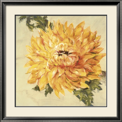 Hot Blooms Ii by Marysia Burr Pricing Limited Edition Print image
