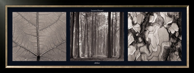 Arbres by Laurent Pinsard Pricing Limited Edition Print image