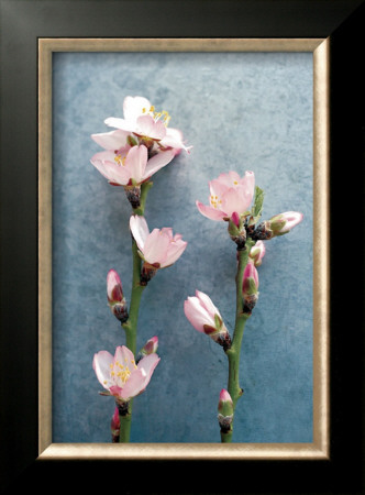 Branches Fleuries En Rose Et Bleu I by Amelie Vuillon Pricing Limited Edition Print image