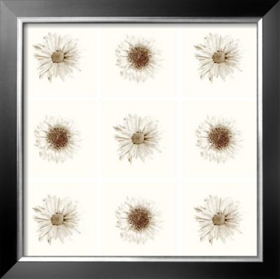 Neutral Bouquet by Jason Johnson Pricing Limited Edition Print image
