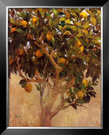 Limonero by J. Ripoll Pricing Limited Edition Print image