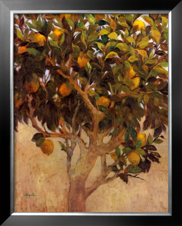 Limonero by J. Ripoll Pricing Limited Edition Print image