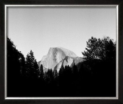 Half Dome In Trees by Bradford Smith Pricing Limited Edition Print image