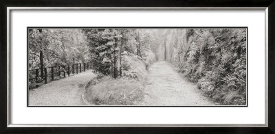 Parallel Paths by Gomes Pricing Limited Edition Print image