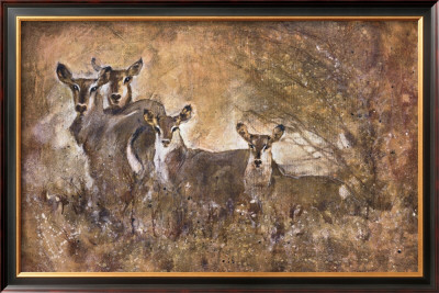 African Savannah I by Marta Wiley Pricing Limited Edition Print image
