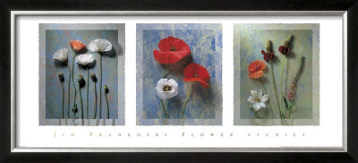 Flower Studies Ii by Jim Frankoski Pricing Limited Edition Print image