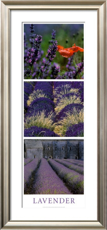 Lavender by Dell'orto Pricing Limited Edition Print image