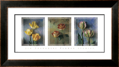 Flower Studies I by Jim Frankoski Pricing Limited Edition Print image