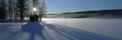 Winter Sunlight, Varmland, Sweden by Mikael Andersson Pricing Limited Edition Print image