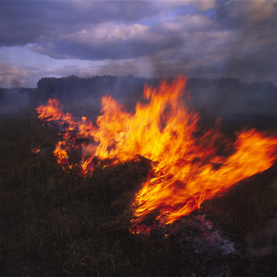 Burning Heap Of Grass by Bengt-Goran Carlsson Pricing Limited Edition Print image