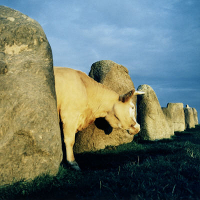 Ale Wall, Skane, Sweden by Asa Nyhln Pricing Limited Edition Print image