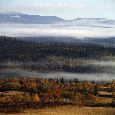 Panoramic View Of A Landscape by Lars Dahlstrom Pricing Limited Edition Print image