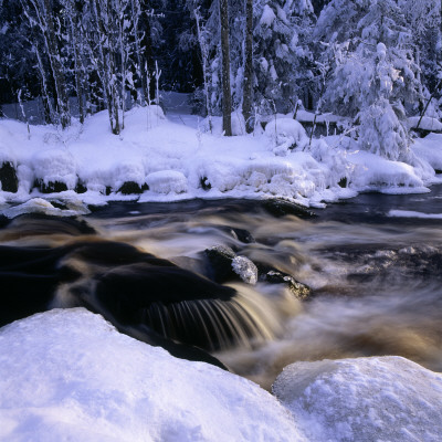 A Creek In A Forest At Winter by Ove Eriksson Pricing Limited Edition Print image