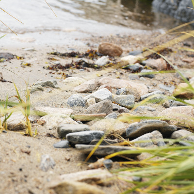 Stones On The Lakeshore by Niclas Albinsson Pricing Limited Edition Print image