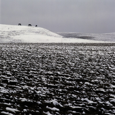 A Ploughed Field In Winter, Sweden by Mikael Andersson Pricing Limited Edition Print image