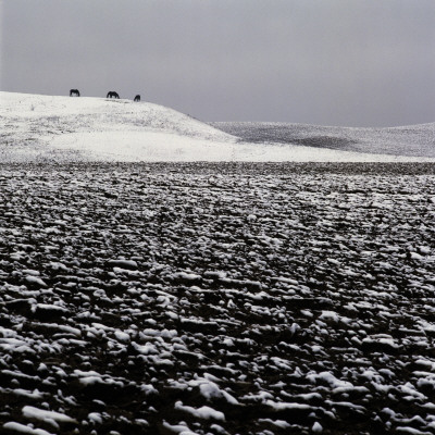 A Ploughed Field In Winter, Sweden by Mikael Andersson Pricing Limited Edition Print image