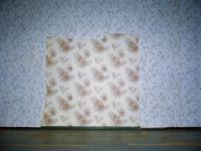 Different Wallpaper Underneath Another Layer Of Wallpaper by Asa Franck Pricing Limited Edition Print image