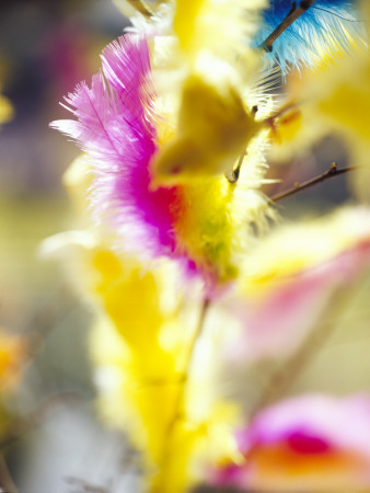 Close-Up Of A Baby Chicken On A Twig by Bjorn Andren Pricing Limited Edition Print image