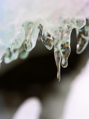 Thawing Icicles by Anders Ekholm Pricing Limited Edition Print image