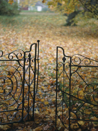 An Open Gate Into A Park Covered With Autumn Leaves by Hans Christer Ericson Pricing Limited Edition Print image
