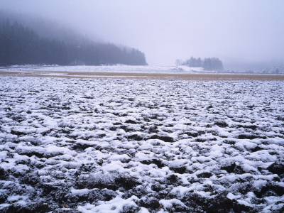 Panoramic View Of A Snow Covered Field, Sweden by Hans Wretling Pricing Limited Edition Print image