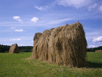 One Of Haystacks by Hans Wretling Pricing Limited Edition Print image