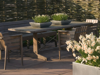 Metal Containers Planted With White Muscari On A Wooden Table, Keukenhof Gardens, Netherlands by Clive Nichols Pricing Limited Edition Print image