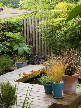 Back Garden With Deck Walkway Past Pond Pool With Containers Of Phormiums And Grasses by Clive Nichols Pricing Limited Edition Print image