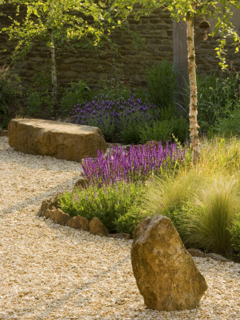Gravel Garden With Rocks, Stipa Tenuissima And Salvia Nemorosa Wesuwe by Clive Nichols Pricing Limited Edition Print image