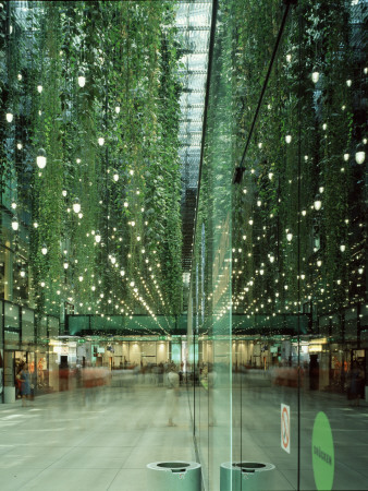 Funf Hofe, Munich Germany, Hanging Plants, Architect: Herzog De Meuron by James Balston Pricing Limited Edition Print image