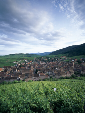 Alsac - View Of The Town And Castle by Joe Cornish Pricing Limited Edition Print image