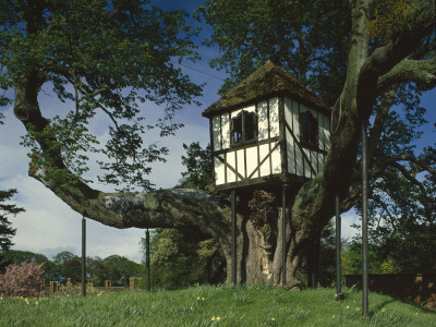 Tree House, Pitchford Hall, Shropshire, 17Th Century by Lucinda Lambton Pricing Limited Edition Print image