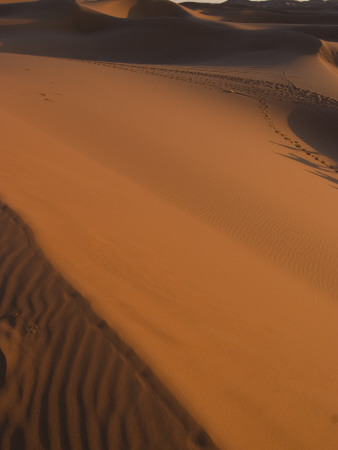 Dunes, Merzouga, Morocco by Natalie Tepper Pricing Limited Edition Print image