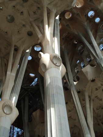 Sagrada Familia, Barcelona, Architect: Gaudi by Natalie Tepper Pricing Limited Edition Print image