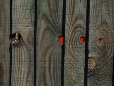 Backgrounds - Detail Of Close-Boarded Fence With Knot Holes by Natalie Tepper Pricing Limited Edition Print image