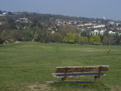 View Over Hampstead Heath Towards Highgate, London by Natalie Tepper Pricing Limited Edition Print image
