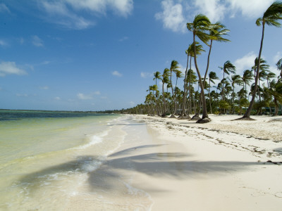 Bavaro Beach, Near Punta Cana, Dominican Republic by Natalie Tepper Pricing Limited Edition Print image