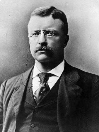 Theodore Roosevelt by Henry Guttmann Pricing Limited Edition Print image