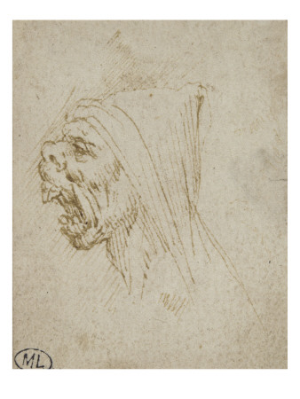 Tête D'homme À Profil Animal, La Bouche Ouverte by Léonard De Vinci Pricing Limited Edition Print image