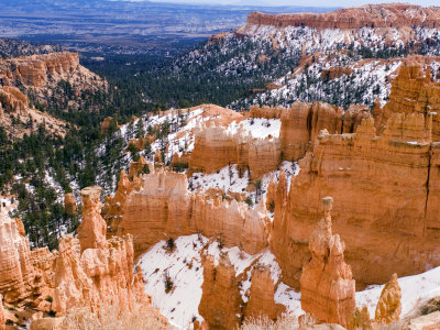 Bryce Amphitheater, Bryce Canyon National Park, Utah, Usa by Michael Defreitas Pricing Limited Edition Print image