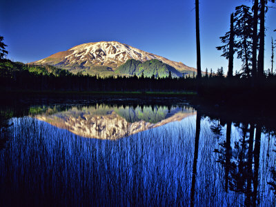Mount Saint Helens Reflects In Blue Goat Marsh Lake, Washington, Usa by Charles Crust Pricing Limited Edition Print image