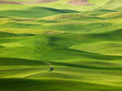 S-Pattern Road Through Wheat Fields Of Palouse Country, Washington, Usa by Terry Eggers Pricing Limited Edition Print image