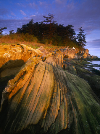 Sandstone Wave On Sucia Island, San Juan Islands, Washington, Usa by Jon Cornforth Pricing Limited Edition Print image