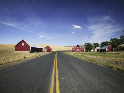 Back Road Leading To Country Barns, Walla Walla, Washington, Usa by Terry Eggers Pricing Limited Edition Print image