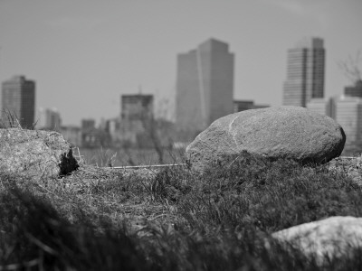 Rocks On The River, New York City by Eloise Patrick Pricing Limited Edition Print image