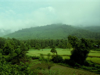 Landscape, Laos Valley by Eloise Patrick Pricing Limited Edition Print image